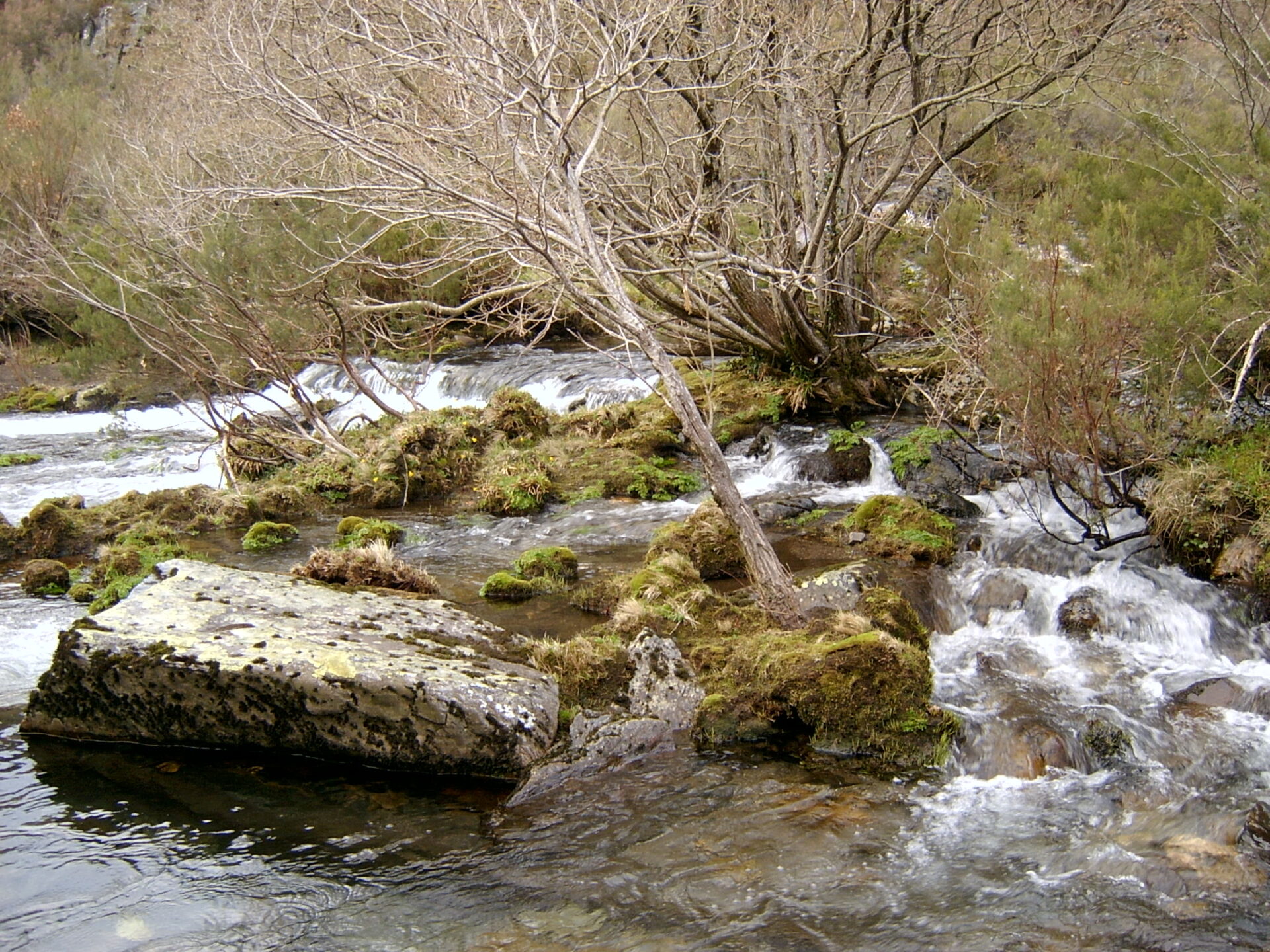 Río Edreira